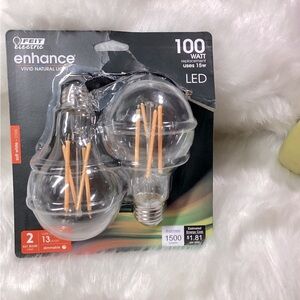 FEIT ELECTRIC 100 Watt Replacement Bulbs
